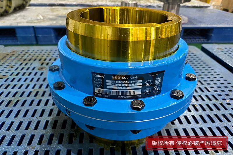 RODA08鼓形齿式耀世娱乐